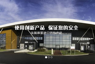 上海建網站公司成功簽約法國代福中國，助力企業數字化升級