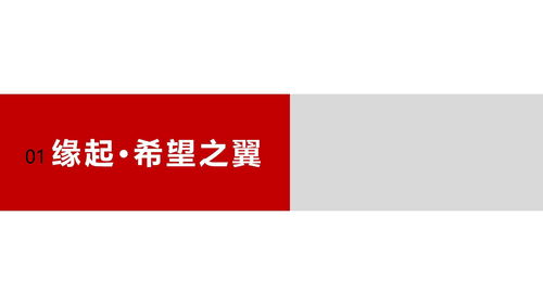 引領行業發展，彰顯卓越實力——企業形象宣傳片策劃方案